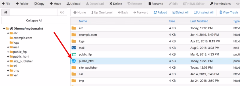 Upload files in public_html